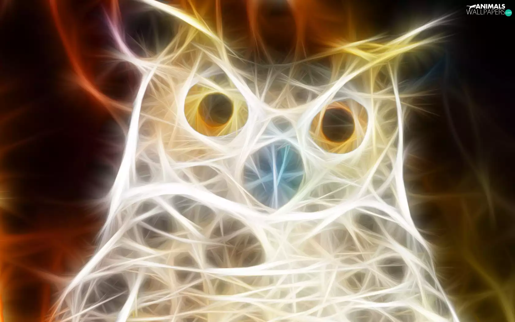owl, 3D
