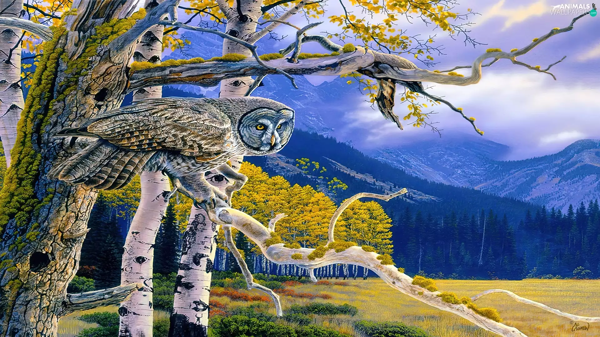 viewes, Mountains, eagle-owl, trees, owl