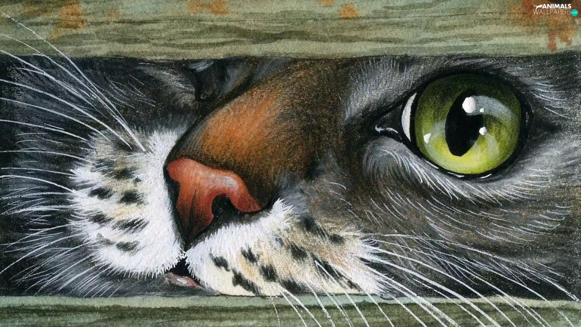 Paintography, cat, slot