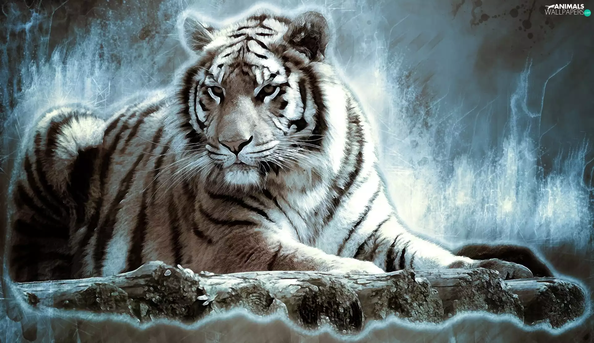 Paintography, lying, tiger
