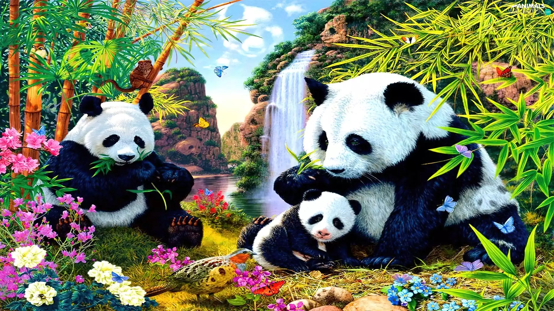 bear, Flowers, Plants, pandas