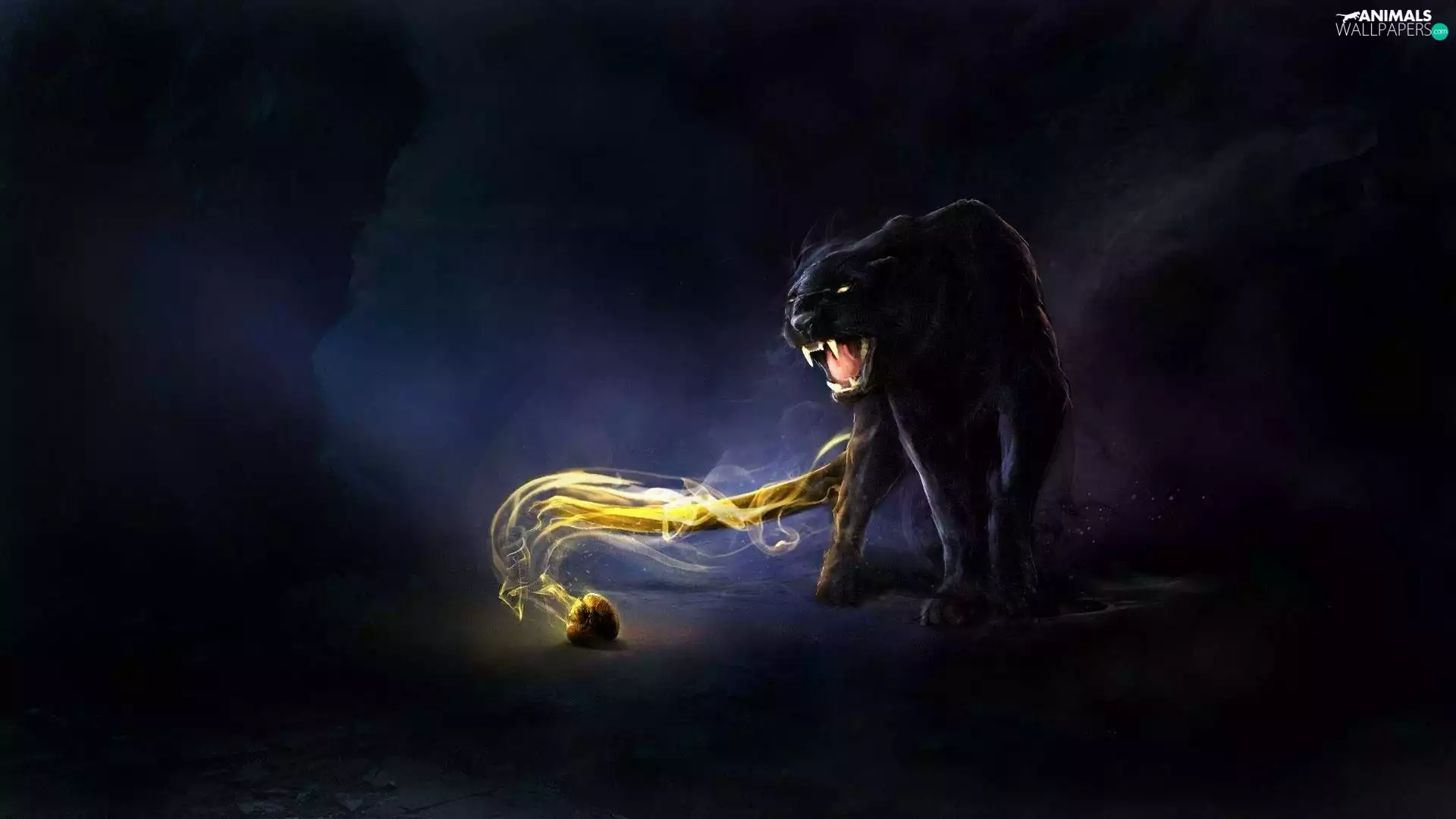 black, blazing, tail, Panther