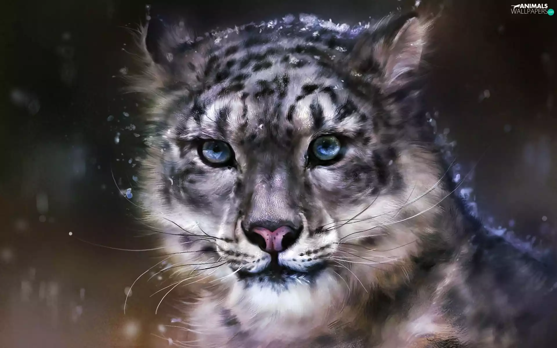 graphics, Panther, snow, snow leopard