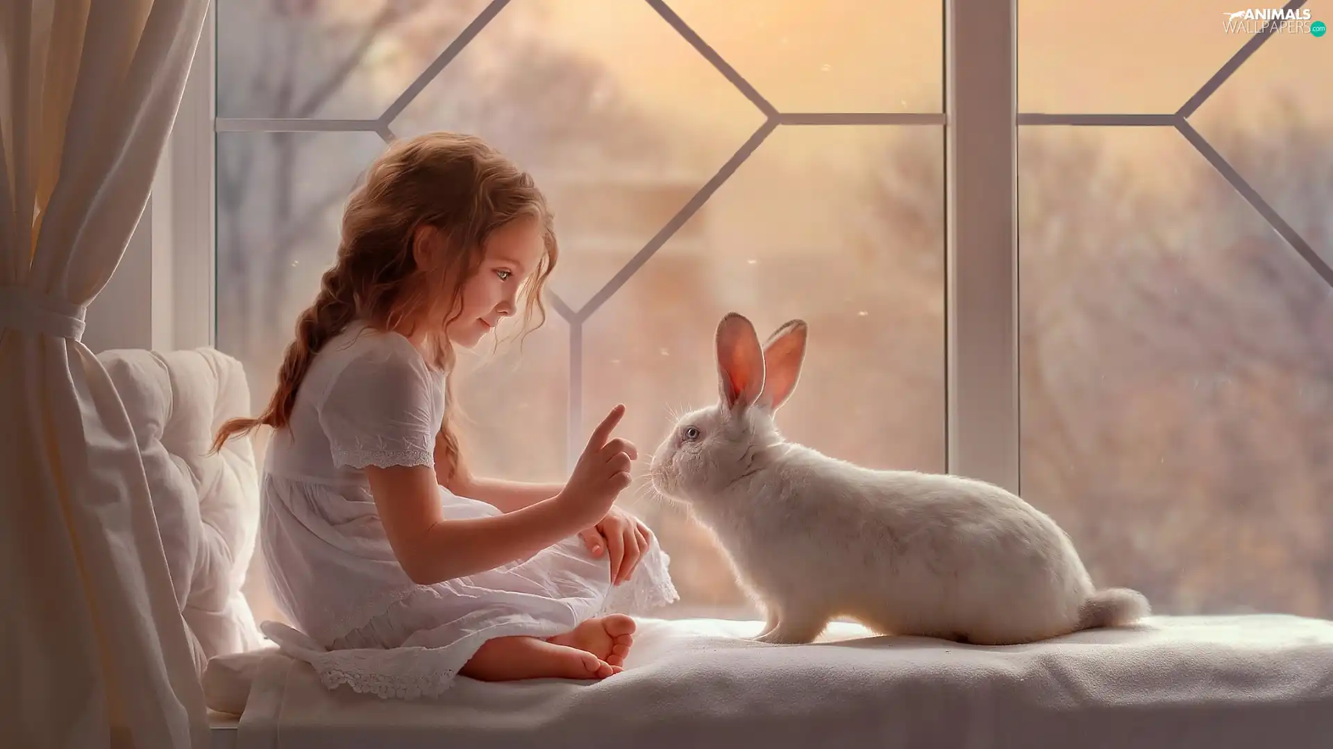 Window, parapet, White, Rabbit, girl