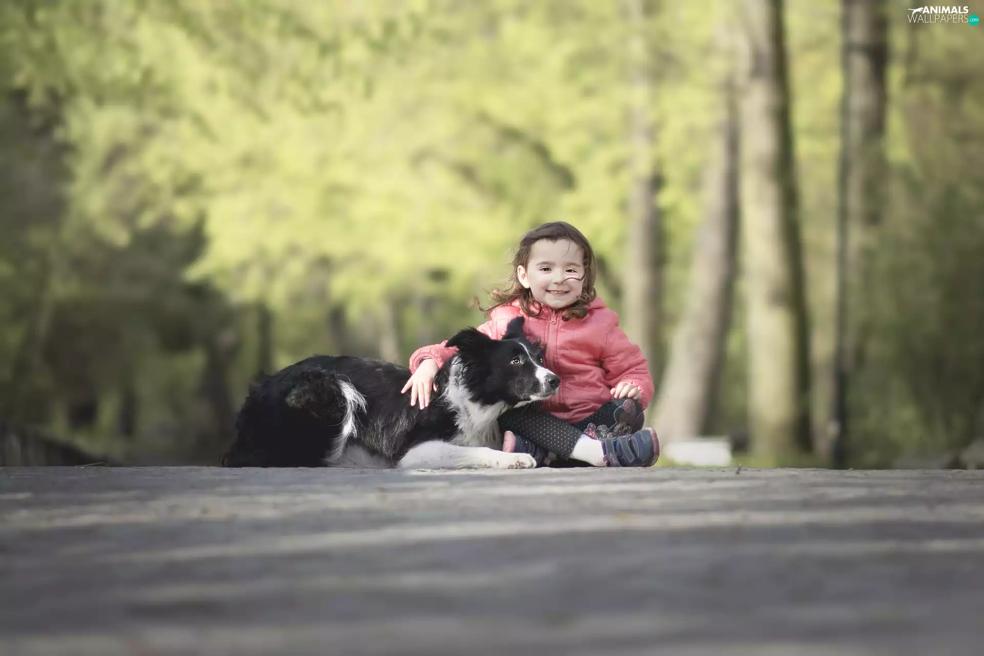 Border Collie, girl, Park, lane, friends, dog