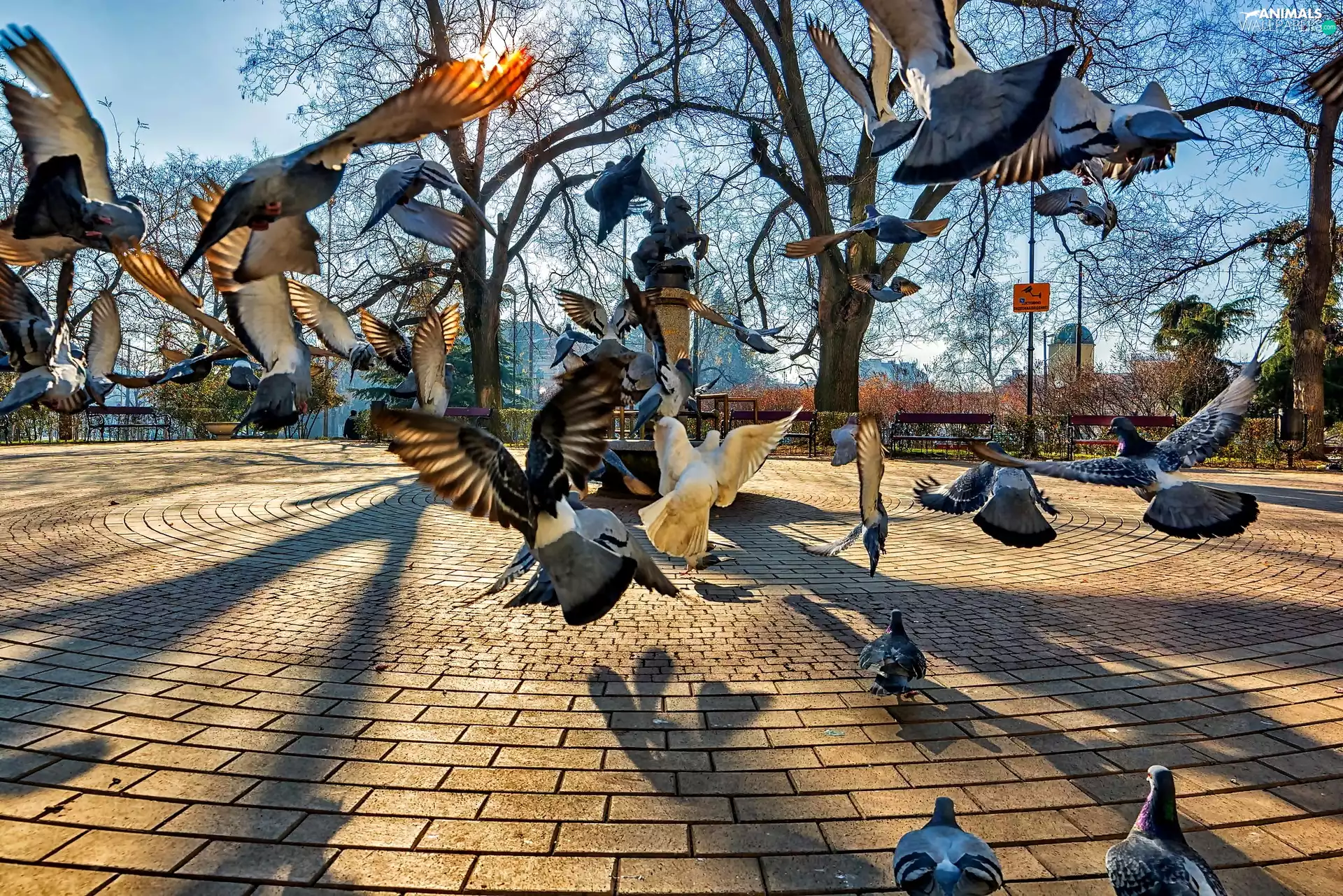 Town, Monument, Deep, Park
