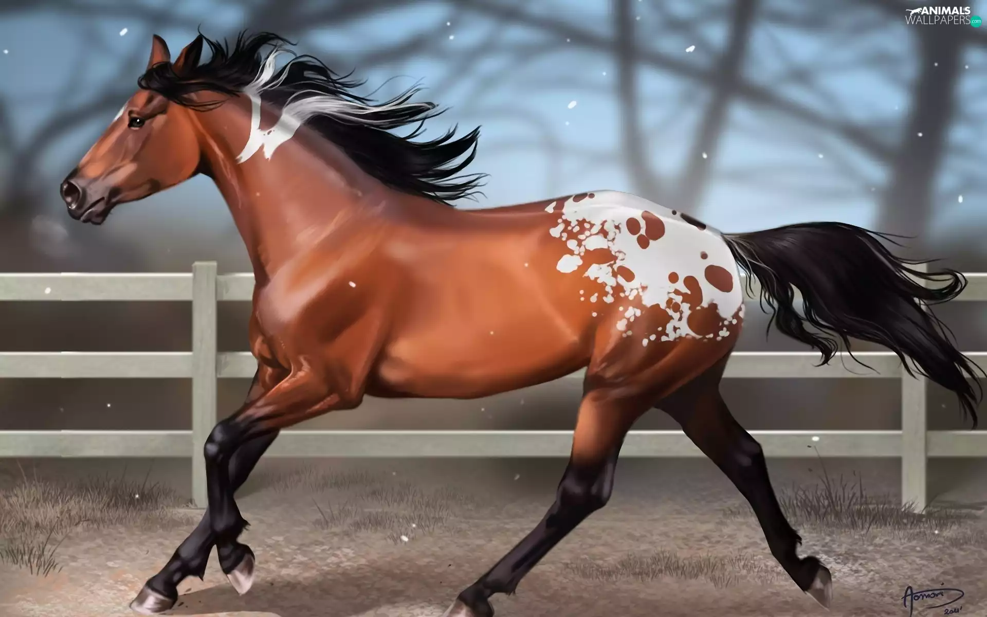 Patches, Horse, White