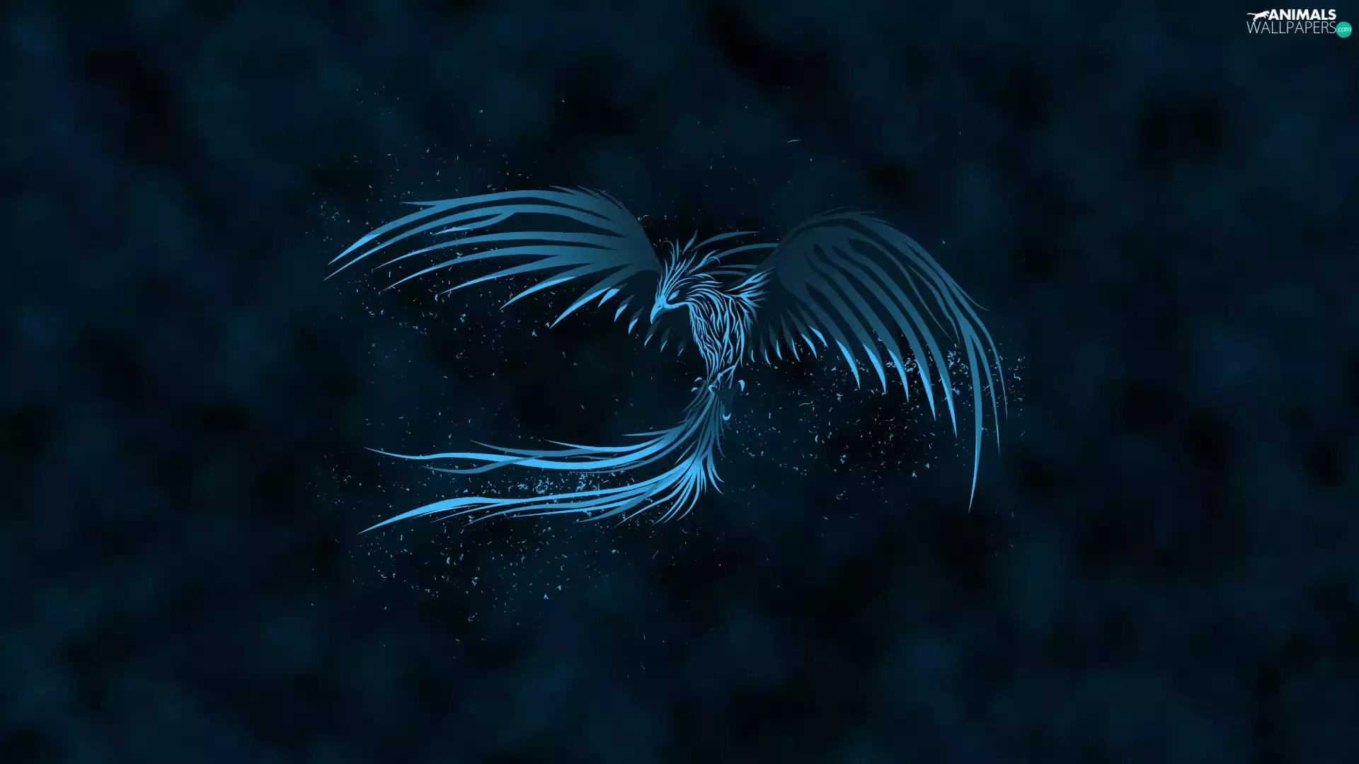 Bird, 2D Graphics, phoenix