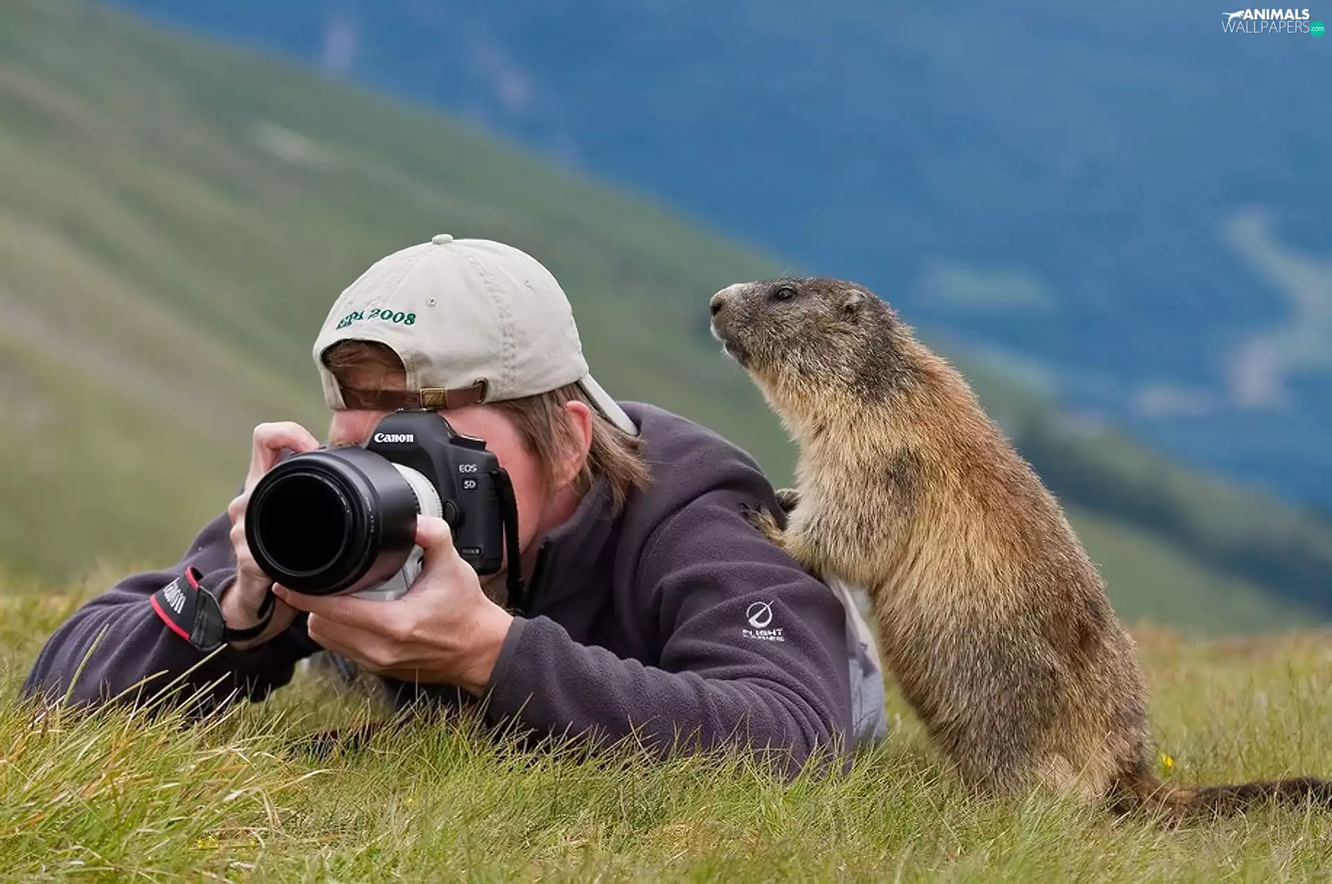 photographer, whistler