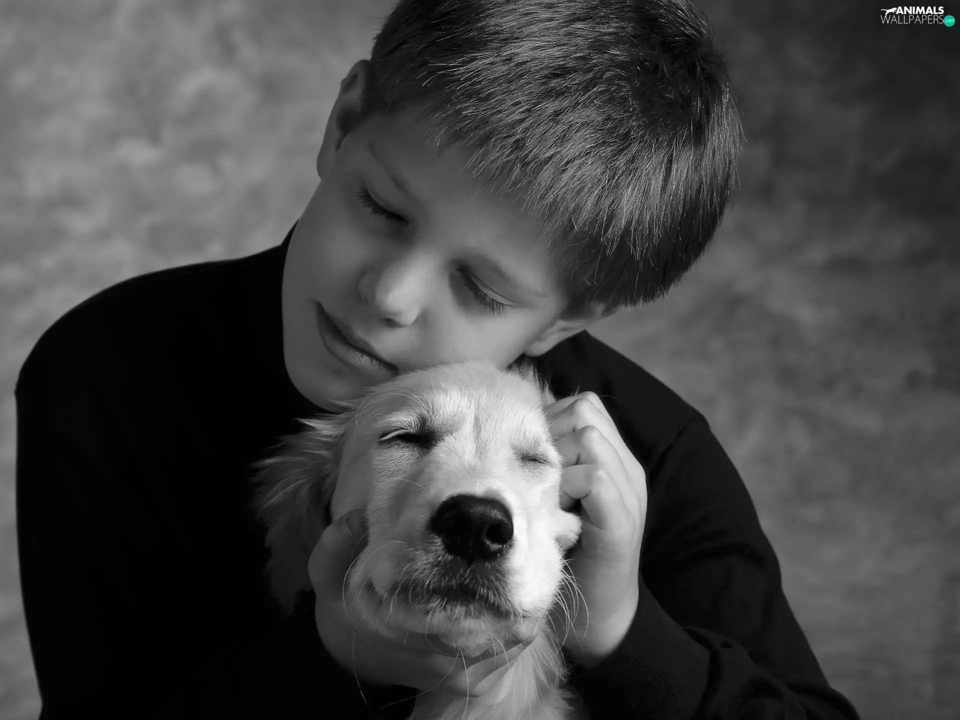 Kid, photography, dog, boy, love