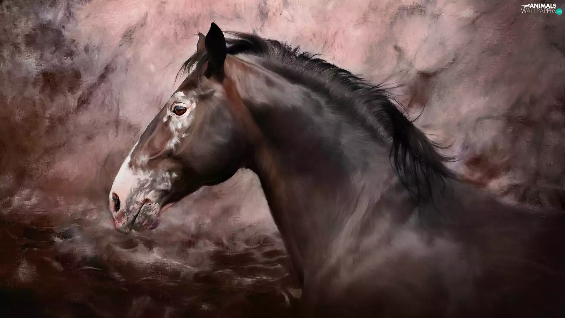 picture, Horse, painting