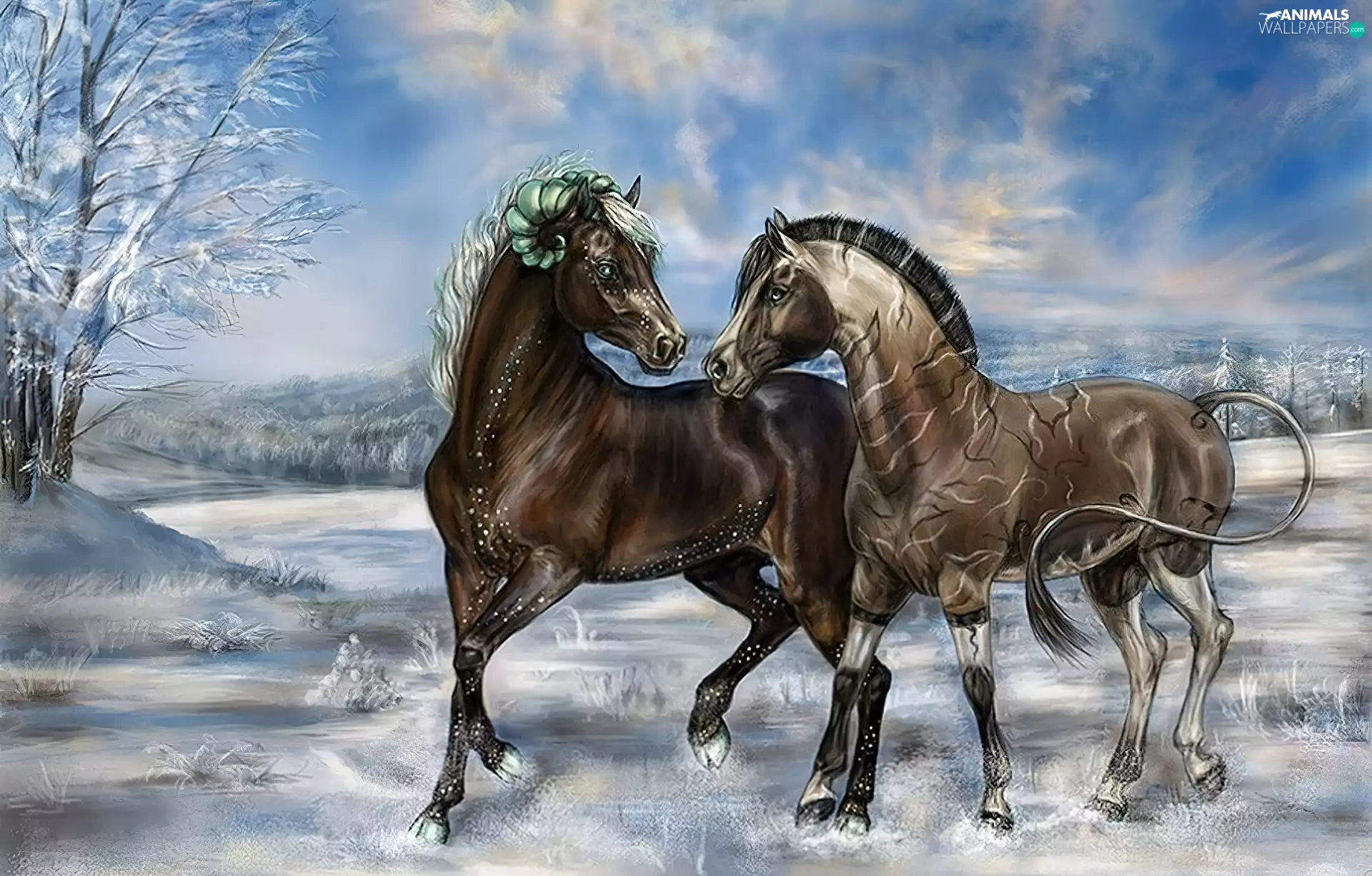 snow, picture, viewes, bloodstock, trees