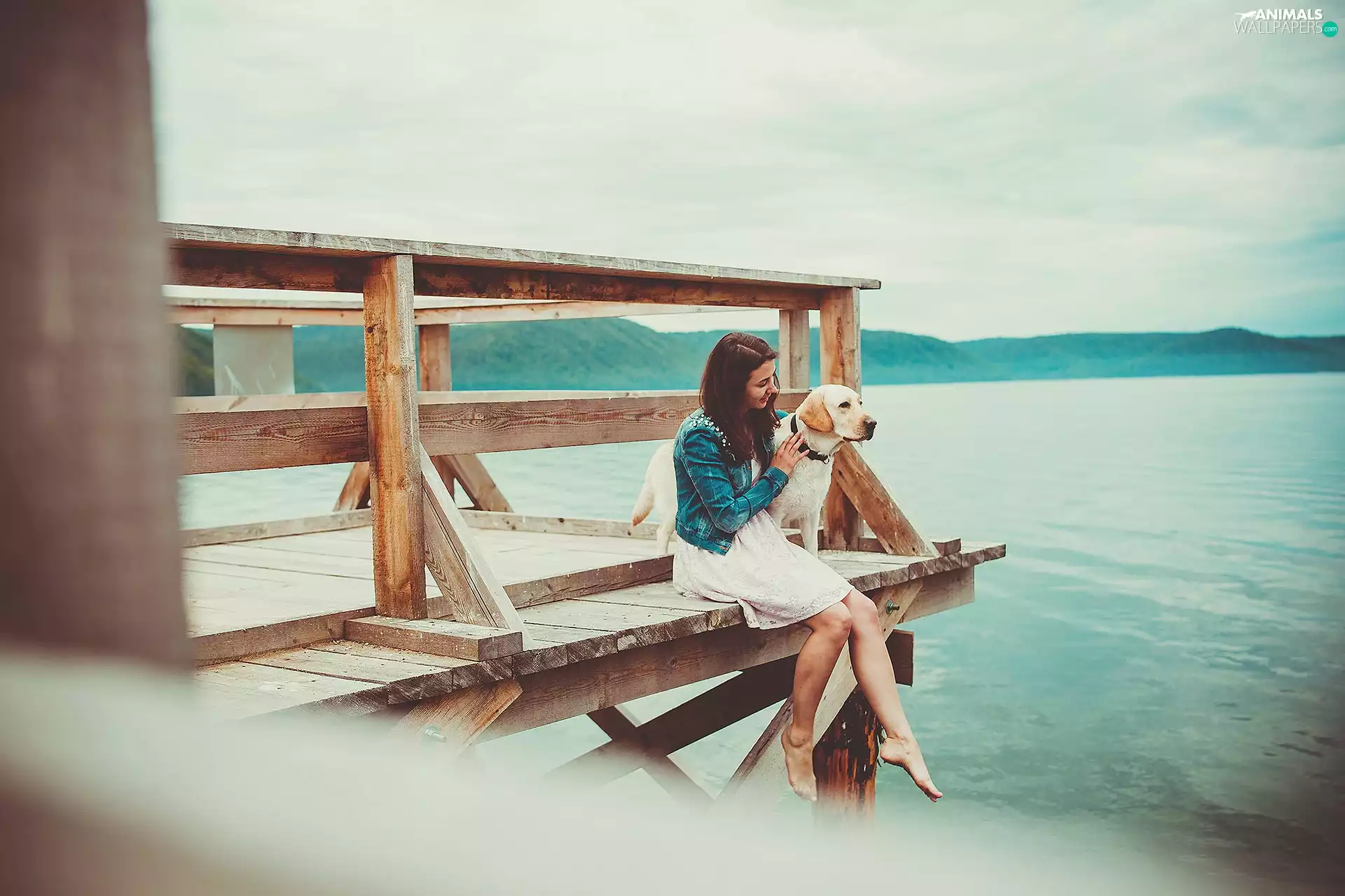 Platform, lake, girl, pier, Labrador Retriever