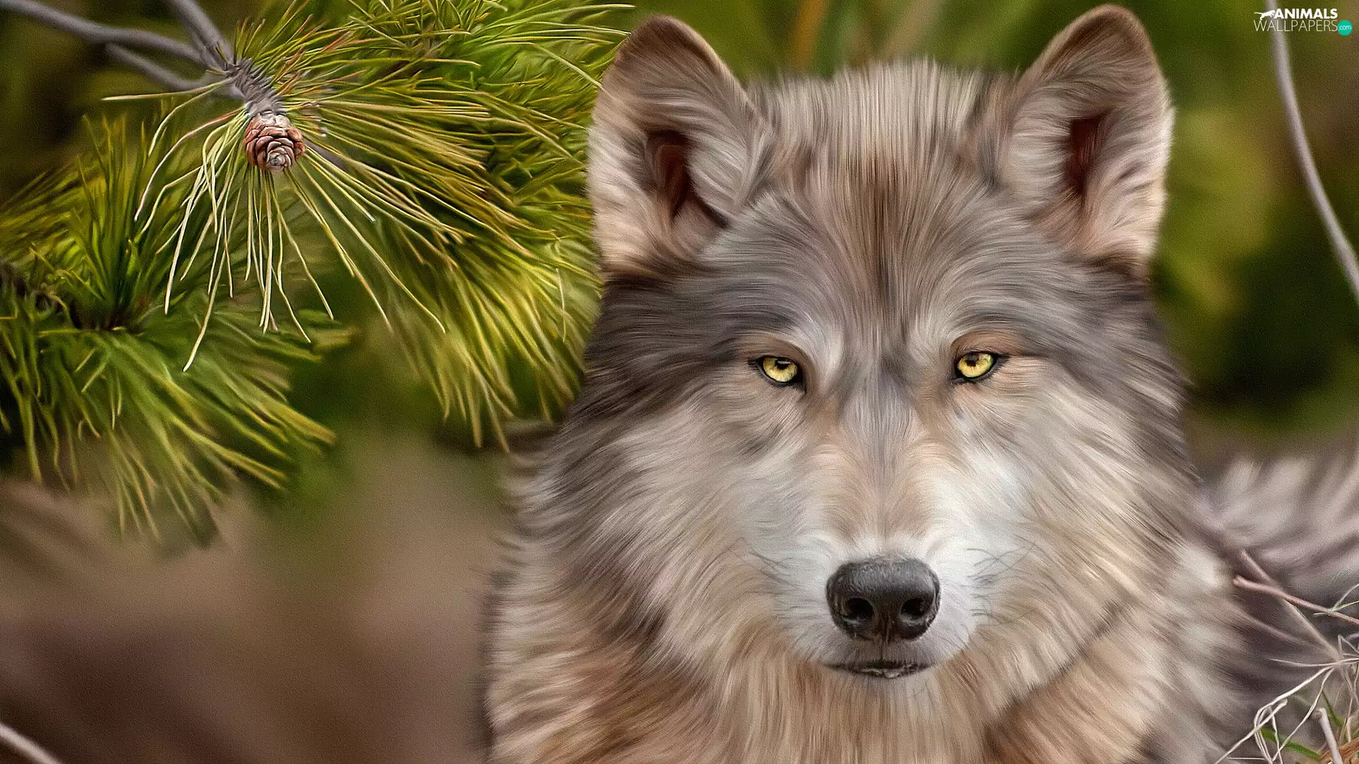 Wolf, Twigs, graphics, pine