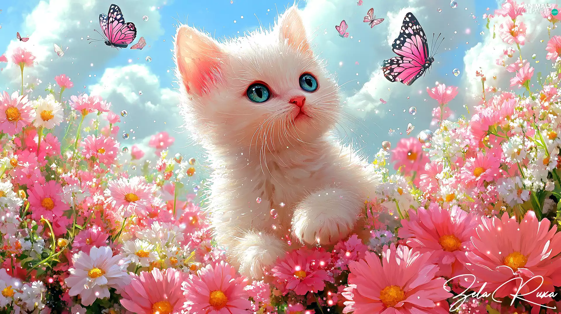 White-Pink, Flowers, butterflies, cat