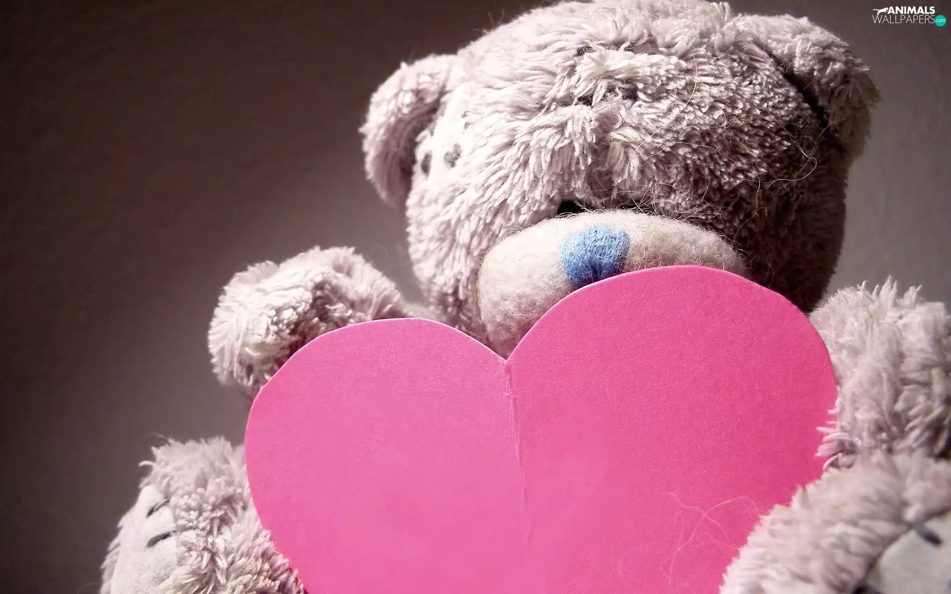 Heart, Teddy Bear, Pink