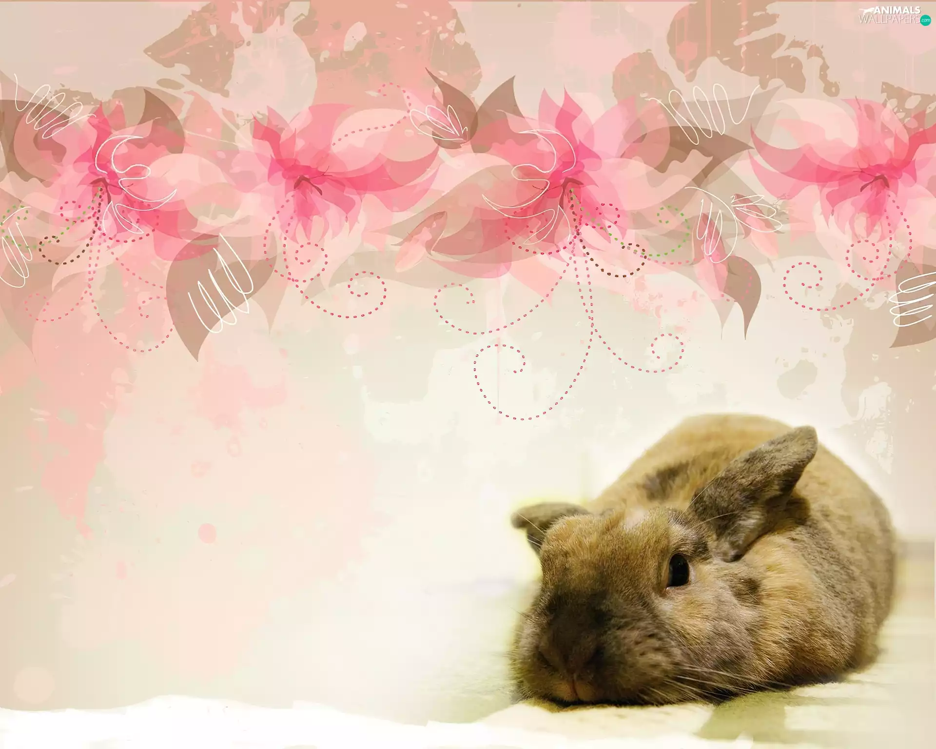 Rabbit, Flowers, graphics, Pink