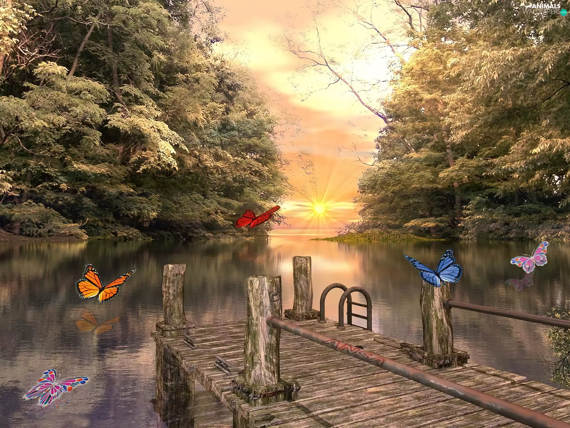 Platform, lake, butterfly