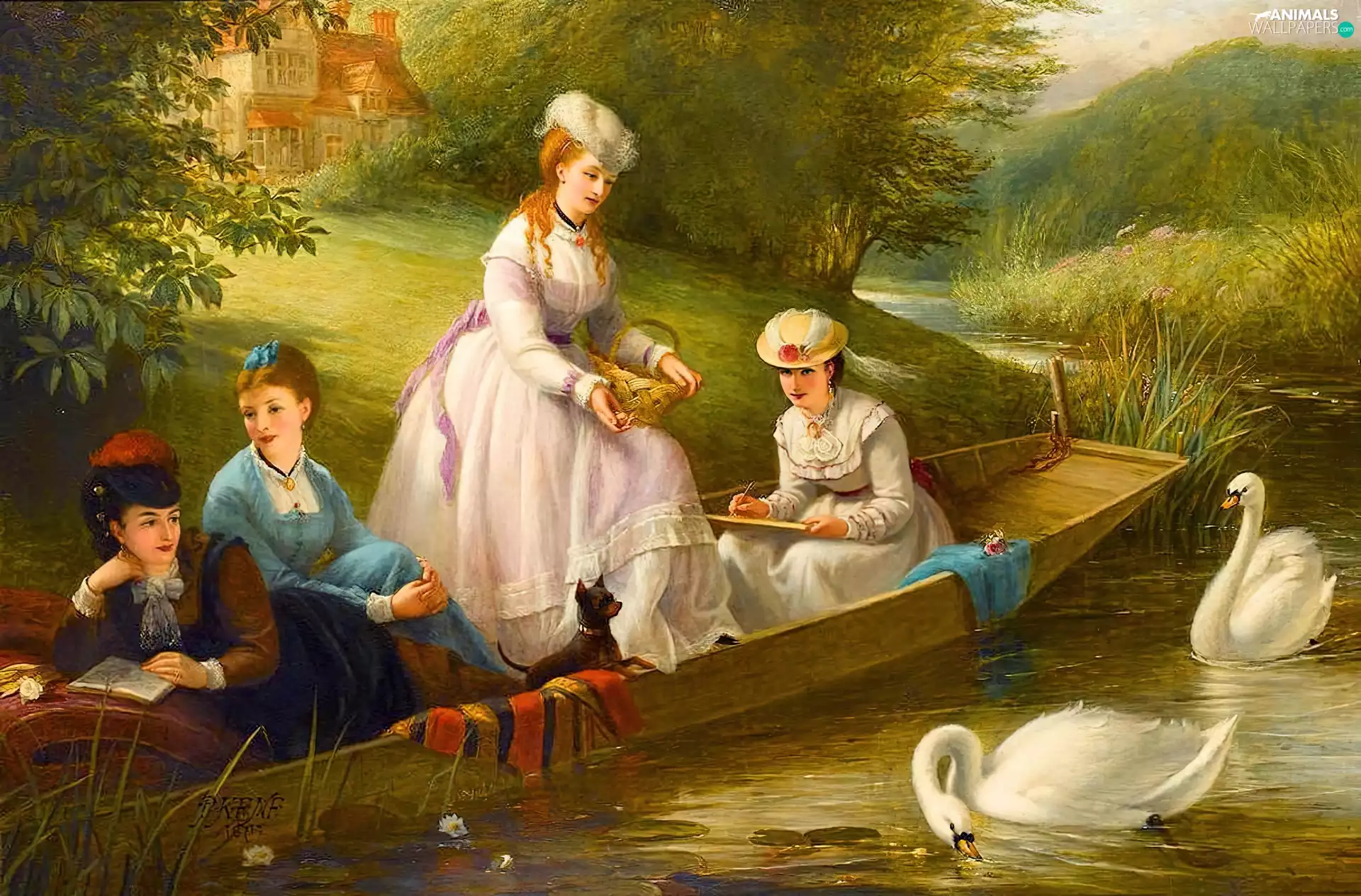 Boat, Swans, Womens, Pond - car, four