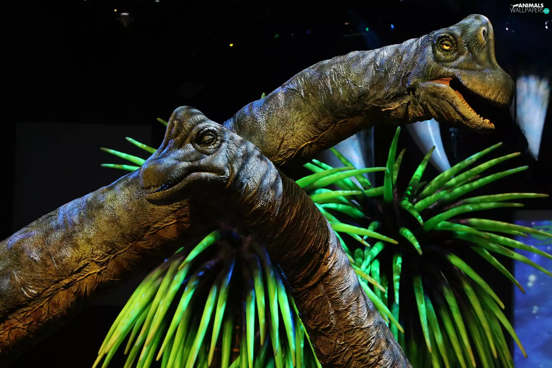 Prehistory, dinosaurs, animals