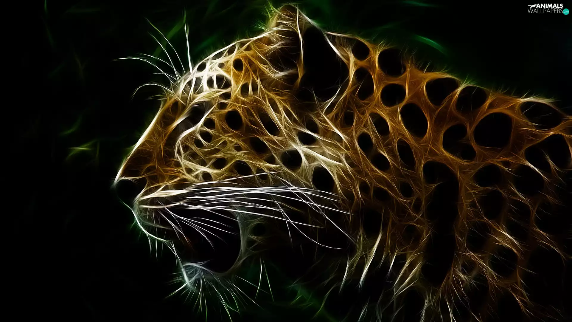tiger, graphics, Fractalius, profile
