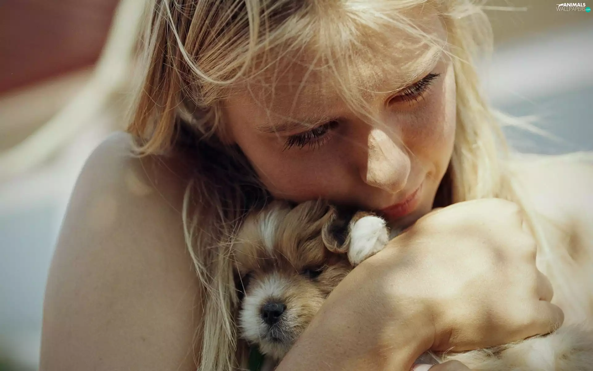 puppie, girl, honeyed