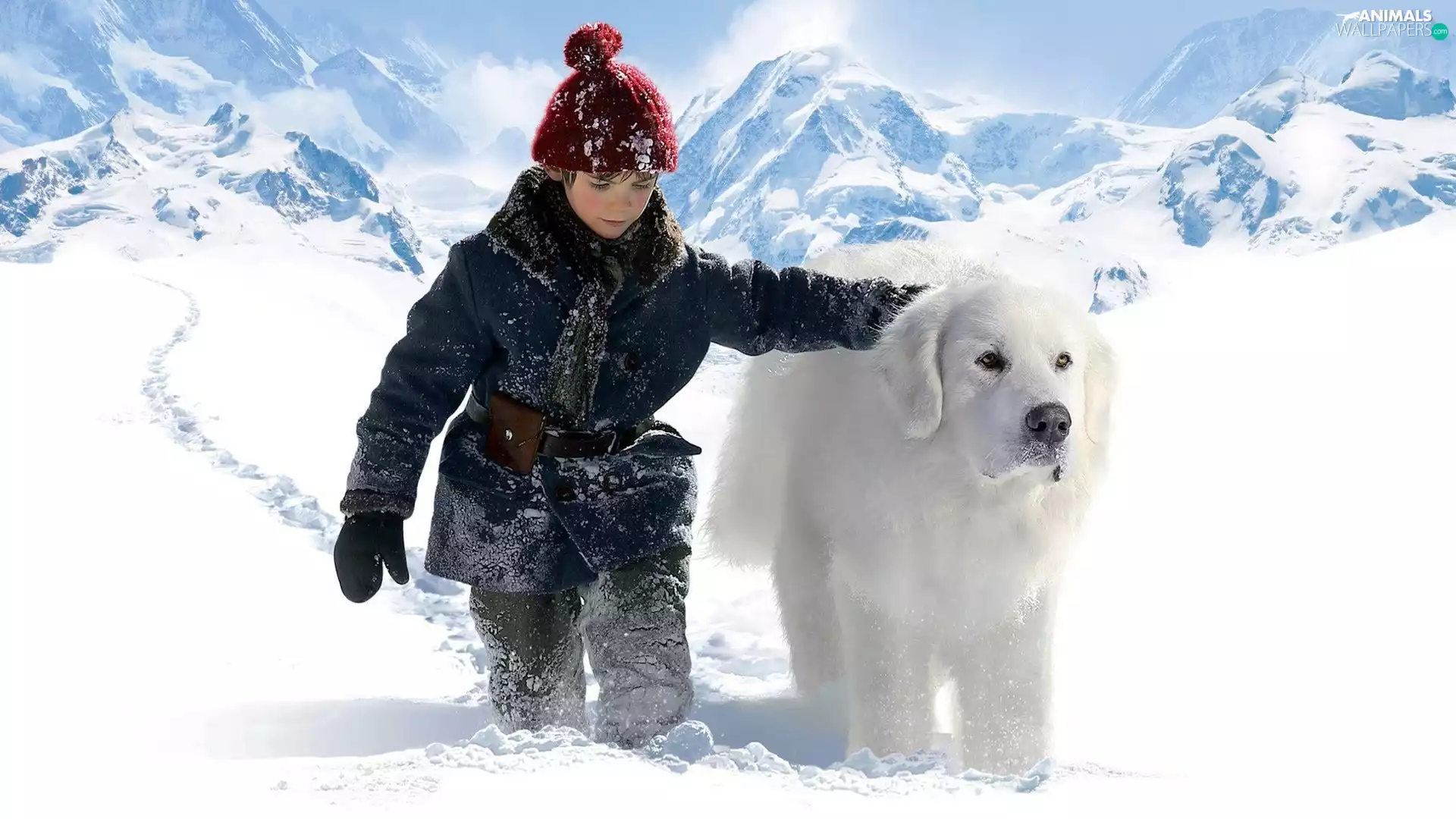 Pyrenean Mountain Dog, Kid, Alps, winter, Mountains, Félix Bossuet