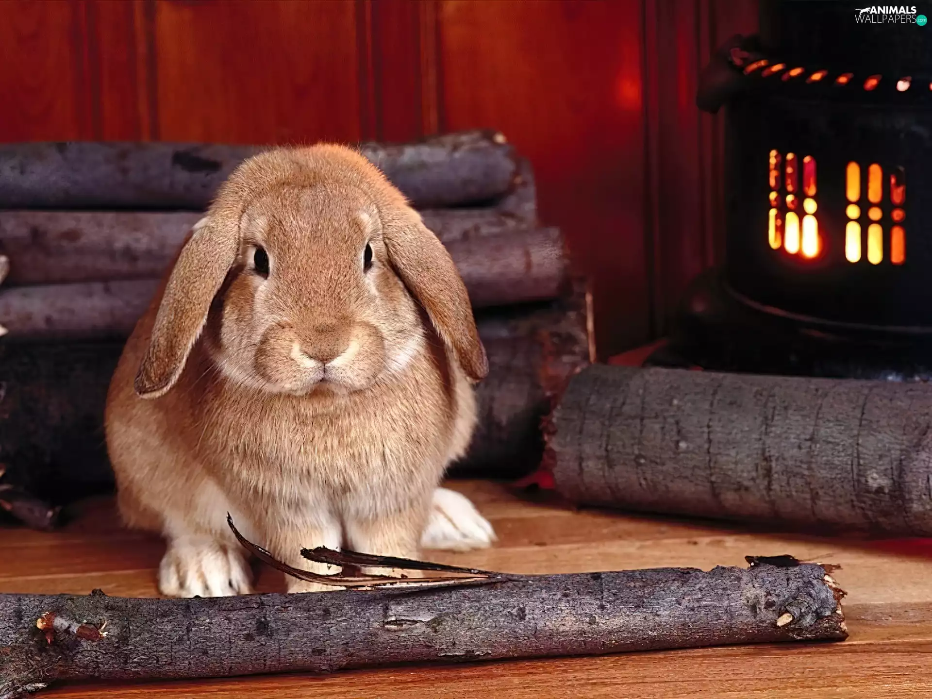 Rabbit, burner chimney