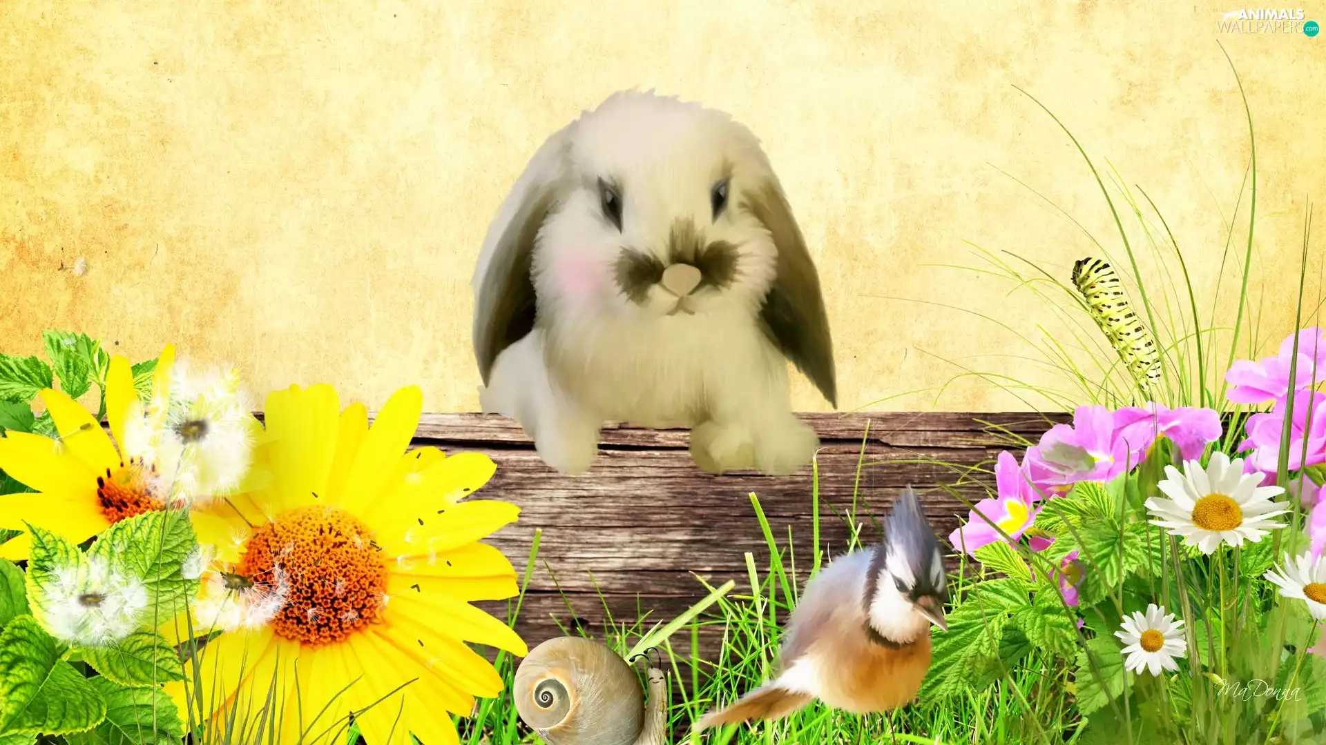 Flowers, snail, Bird, Rabbit