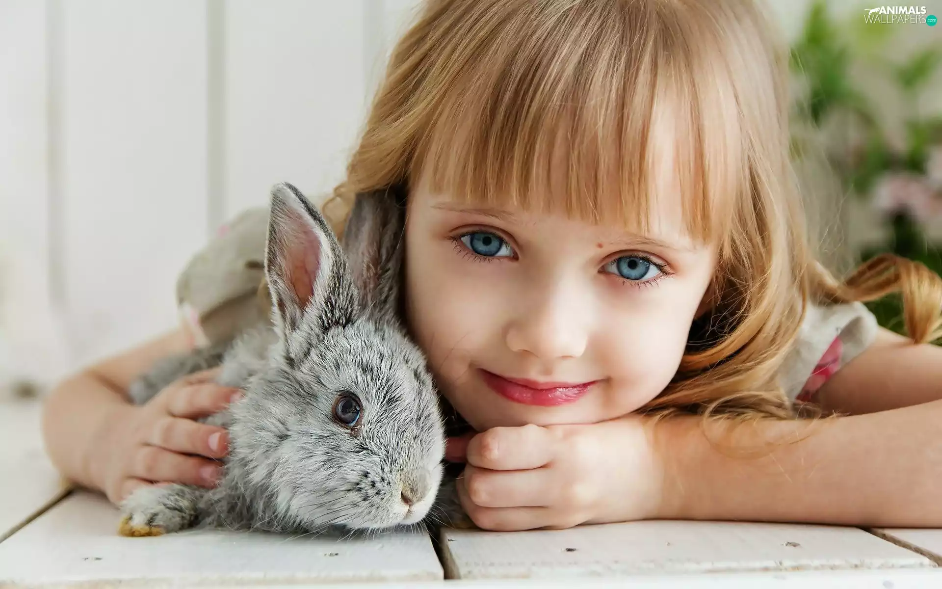 Rabbit, smiling, girl