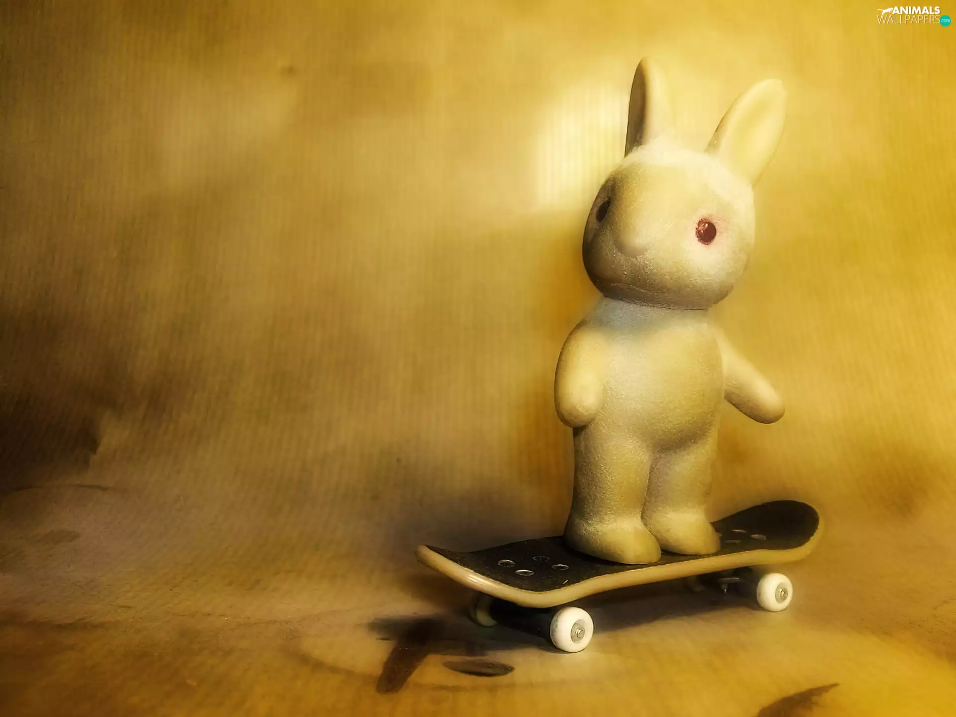 Rabbit, skate
