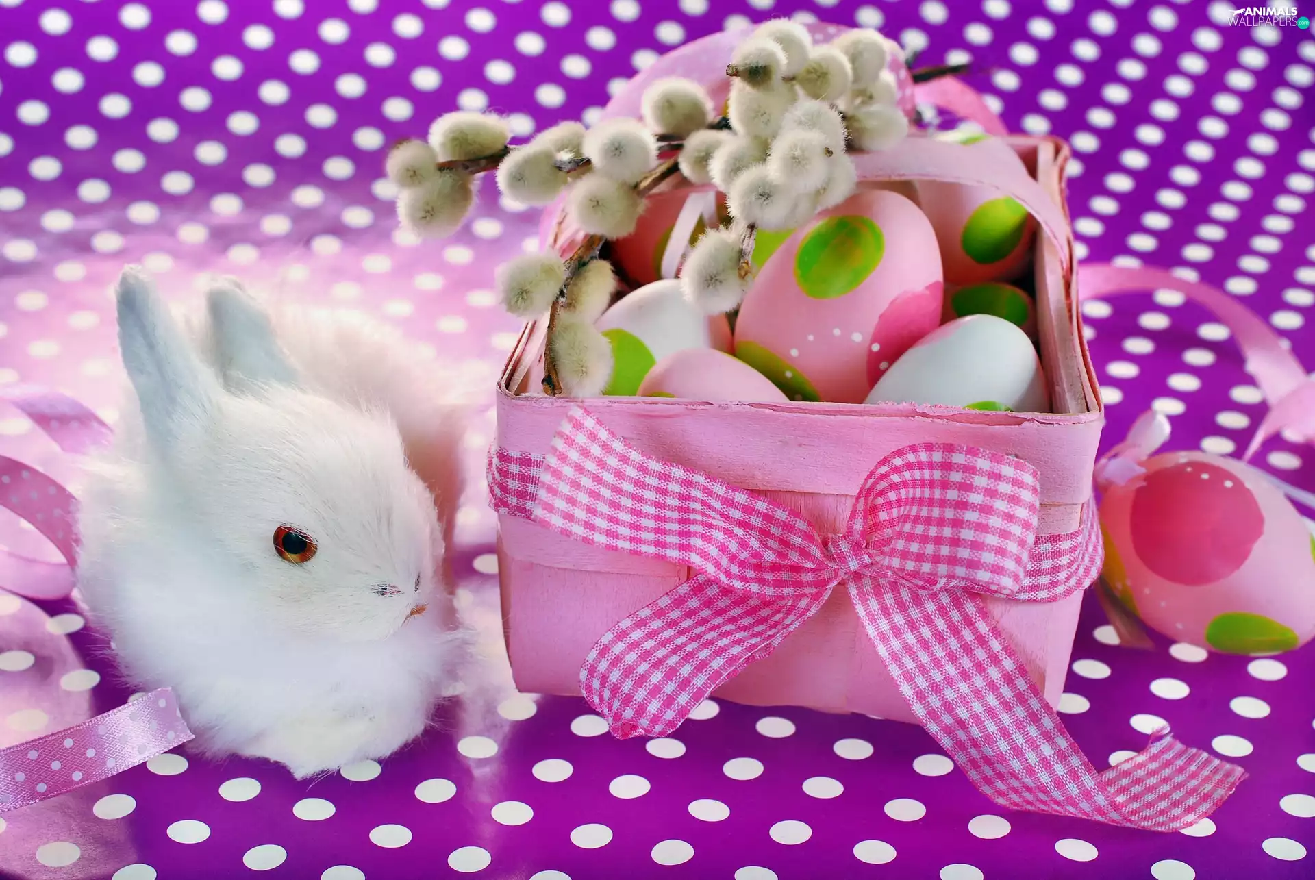 White, eggs, Easter, Rabbit