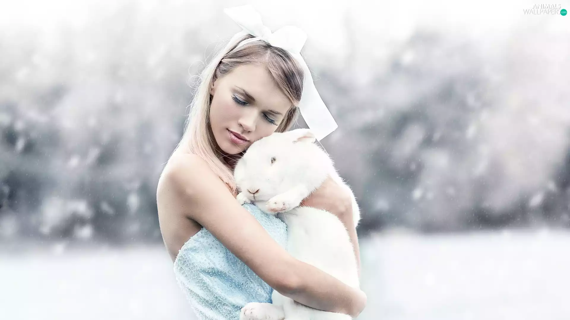 Rabbit, girl, White