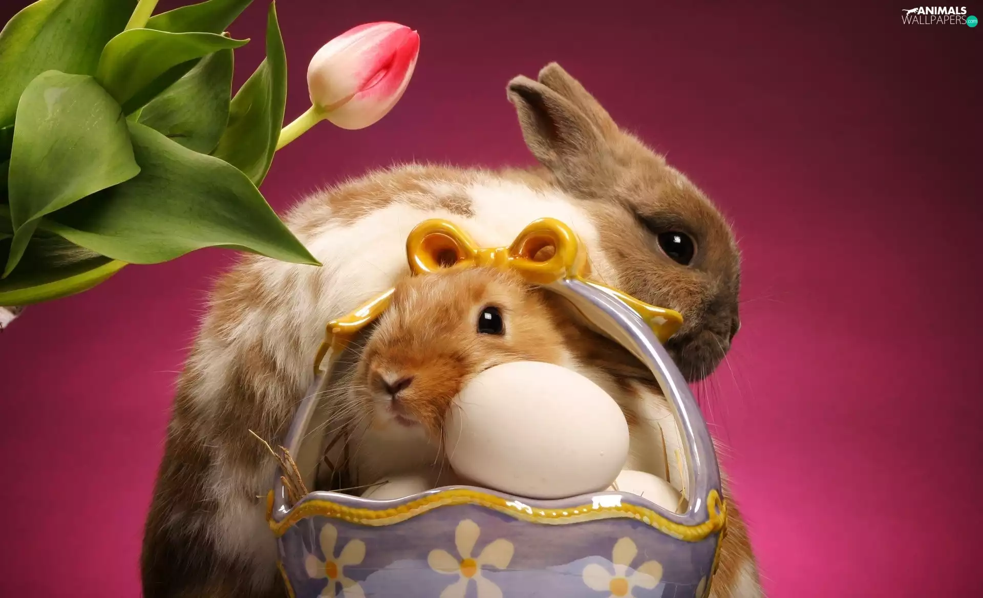 Easter, eggs, basket, rabbits