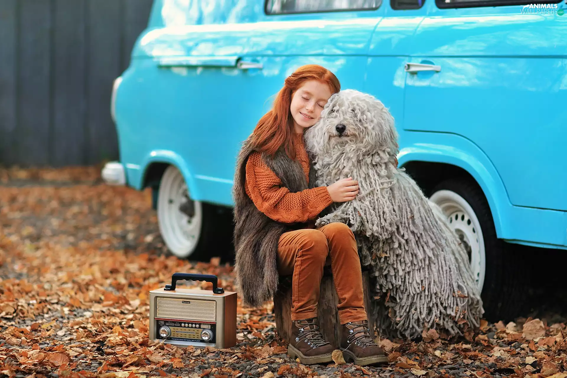 dog, redhead, hugging, radio, Puli, girl