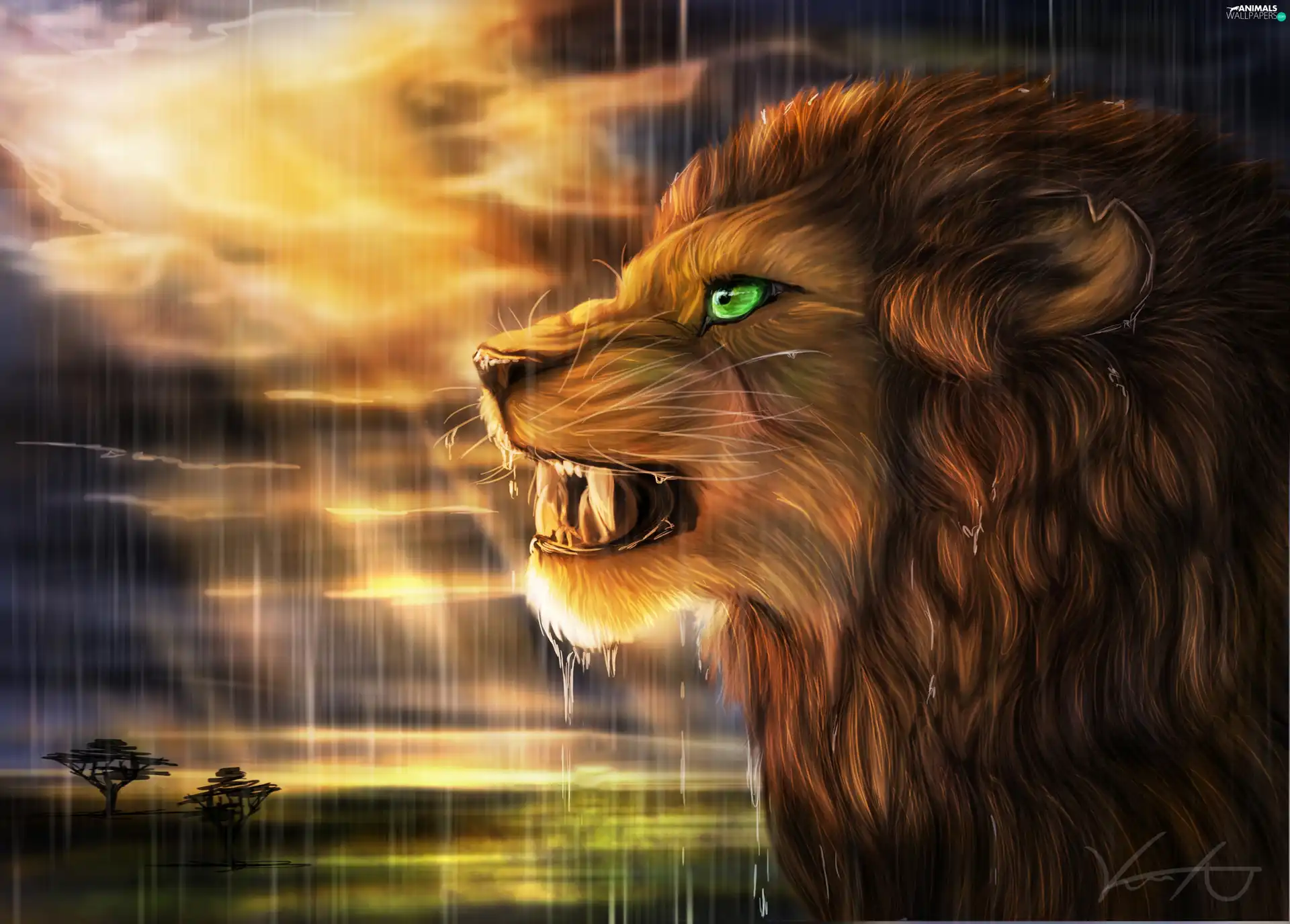 Rain, Art, west, sun, Lion