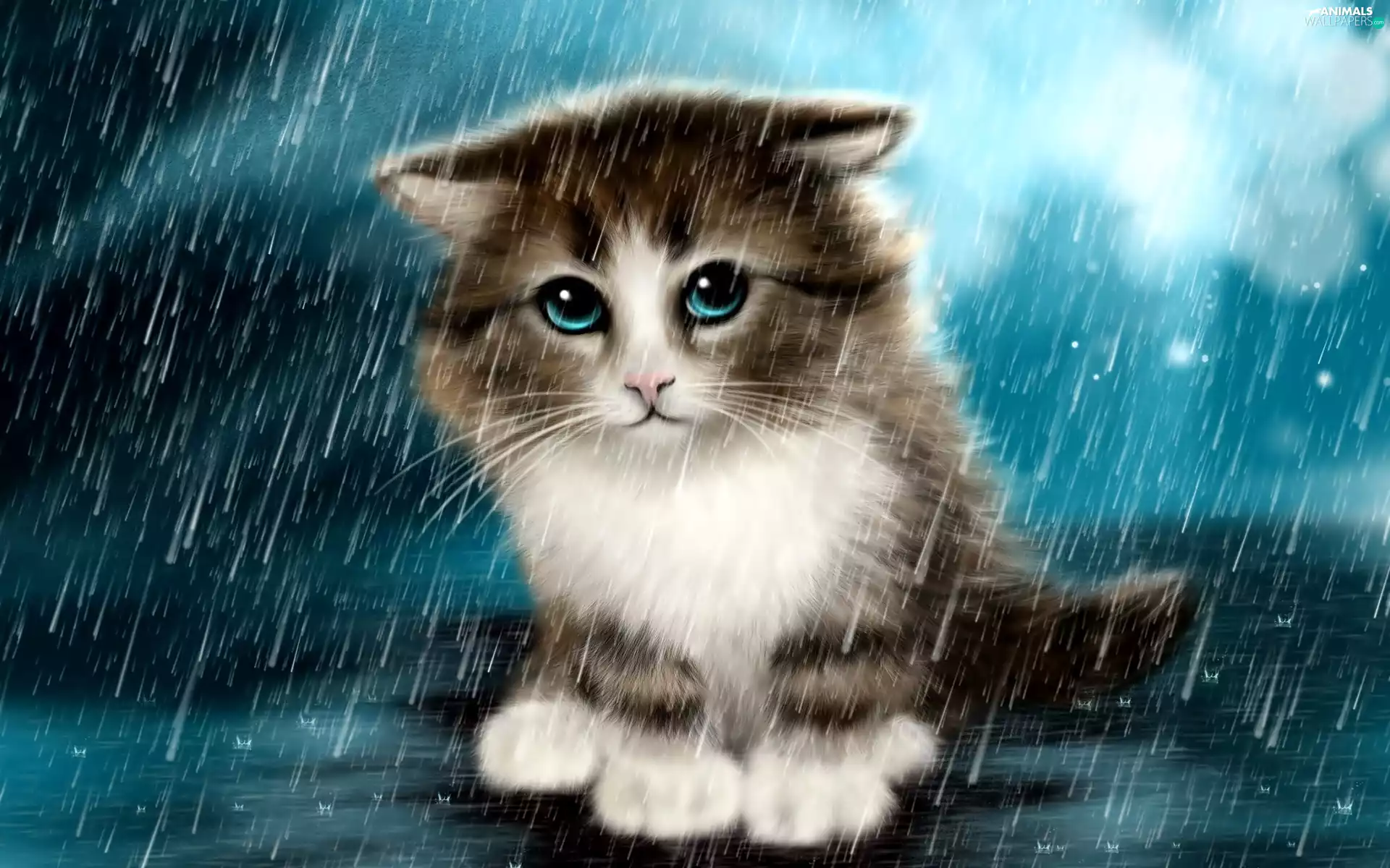 Rain, fantasy, cat