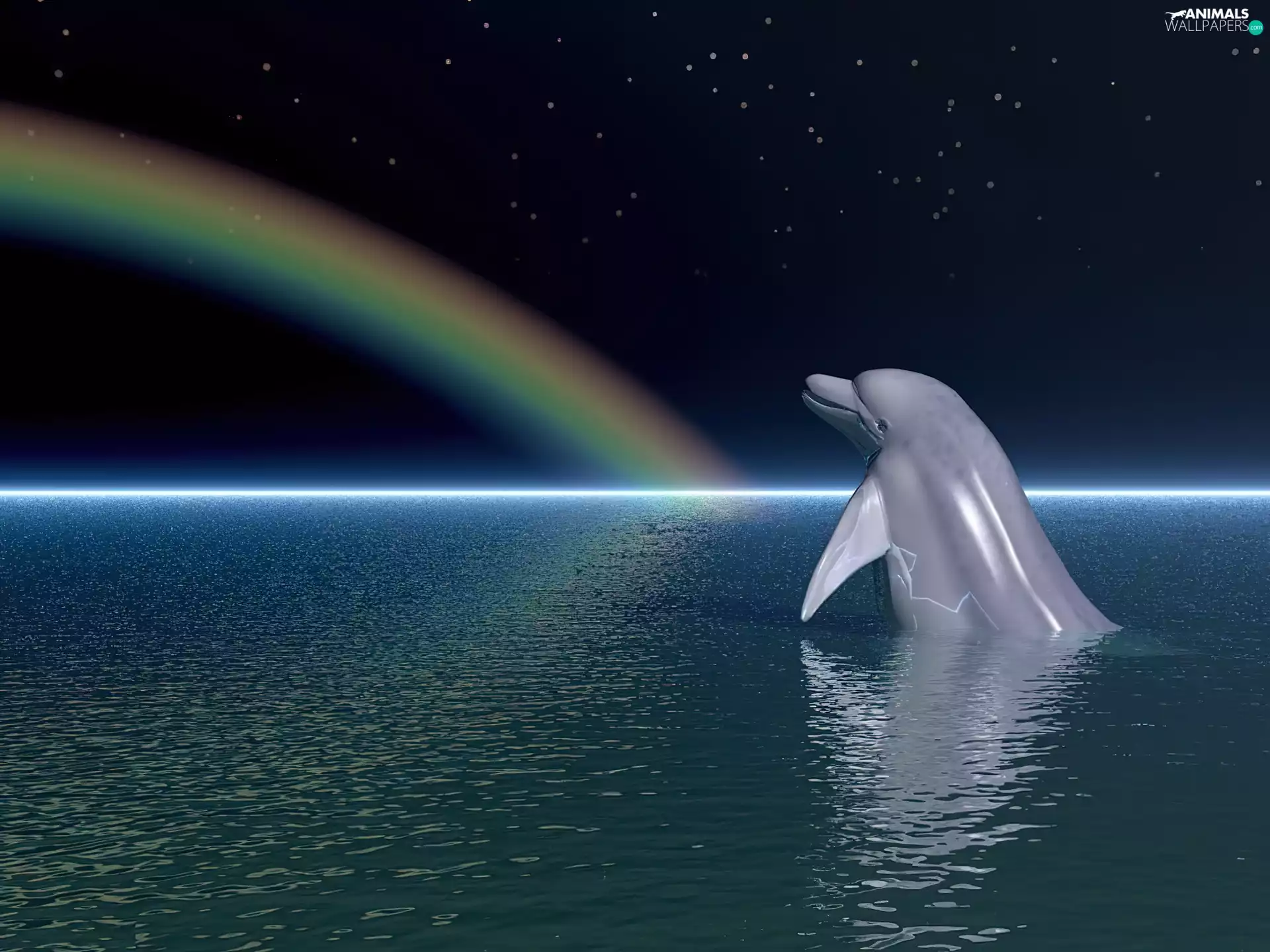 Ocean, dolphin, Great Rainbows