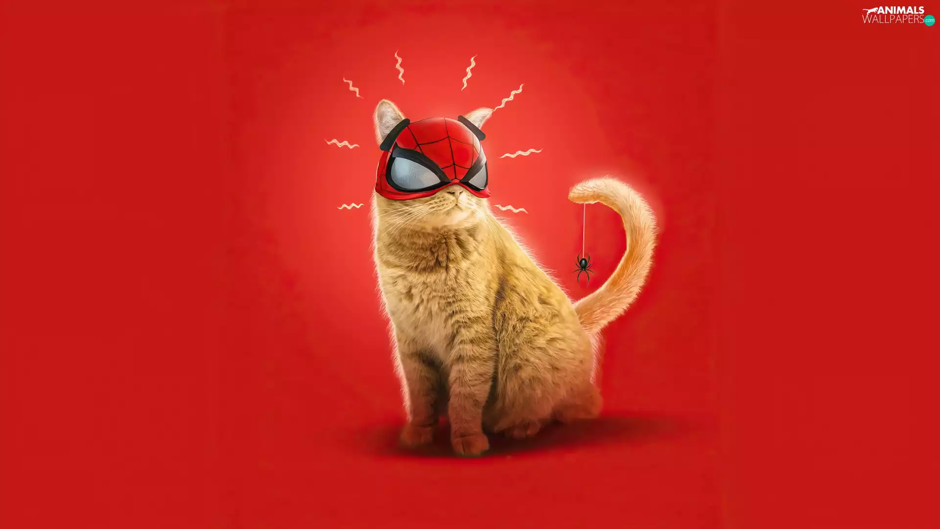 Red, Mask, 2D, Spider, Spider-Man, background, cat, tail