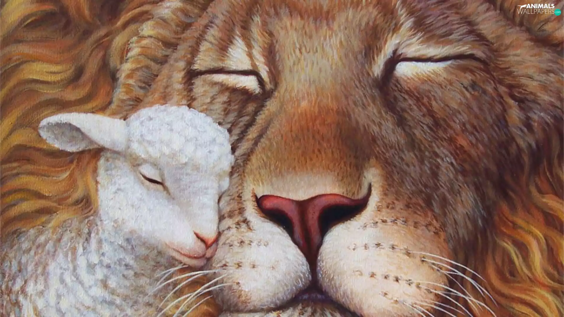 resting, Lion, sheep