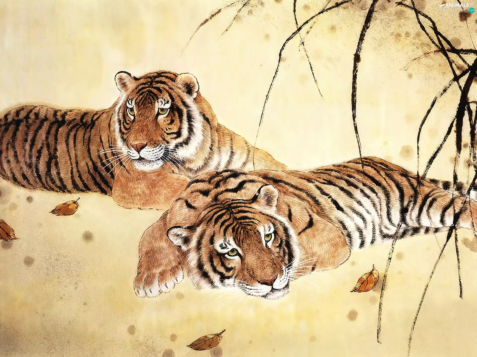 tigress, Two cars, resting