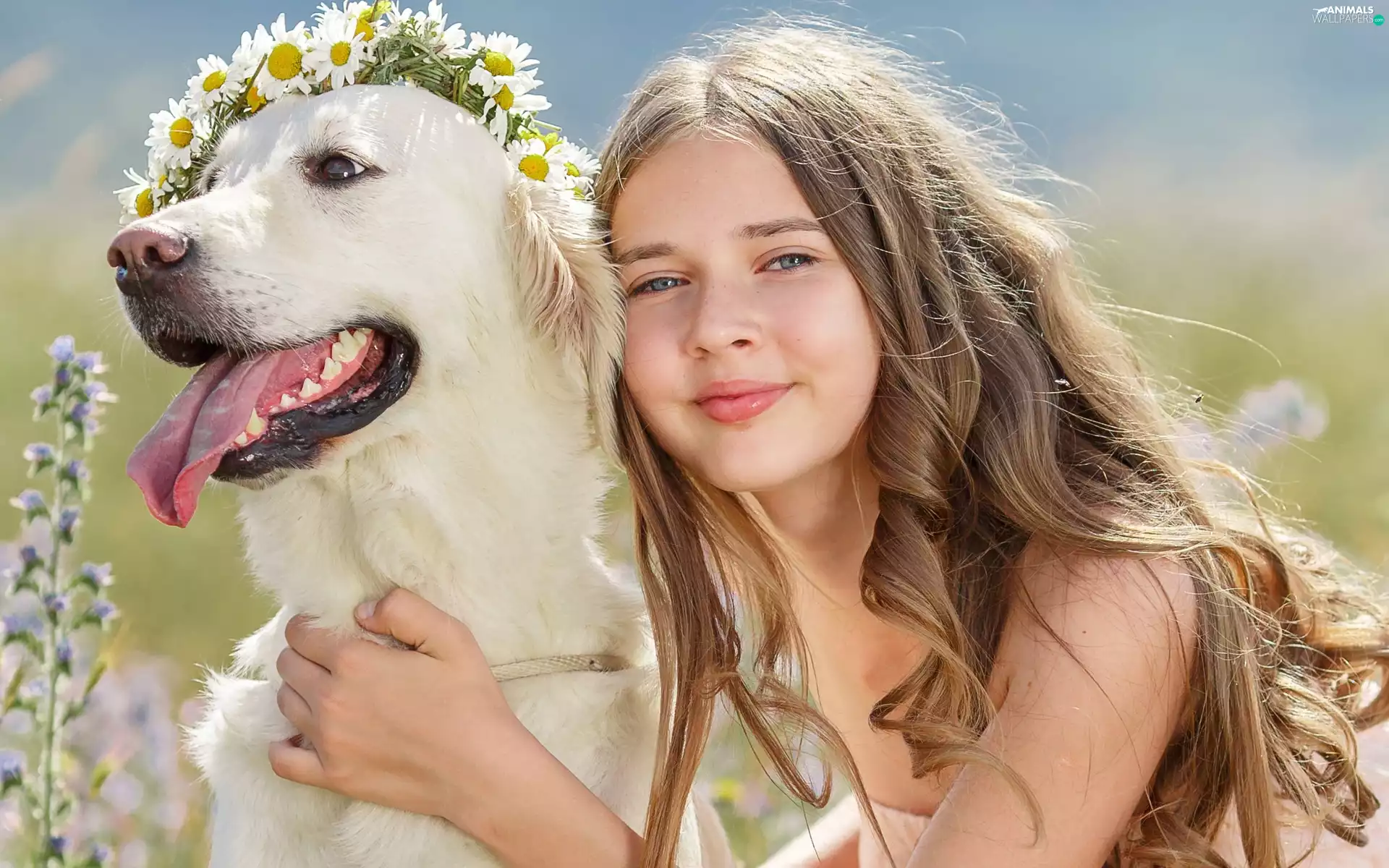 wreath, girl, Golden Retriever