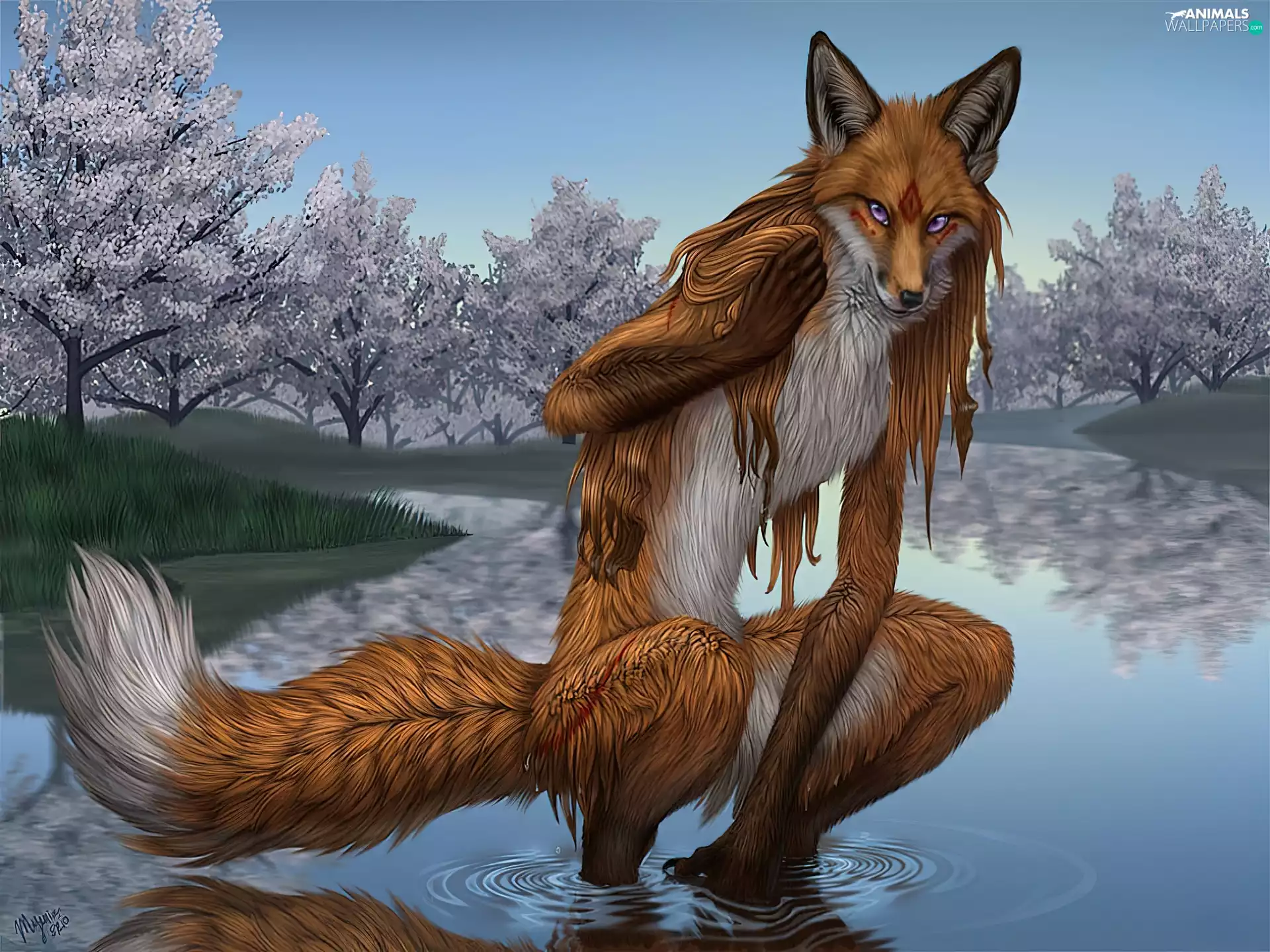 River, Fox, fantasy