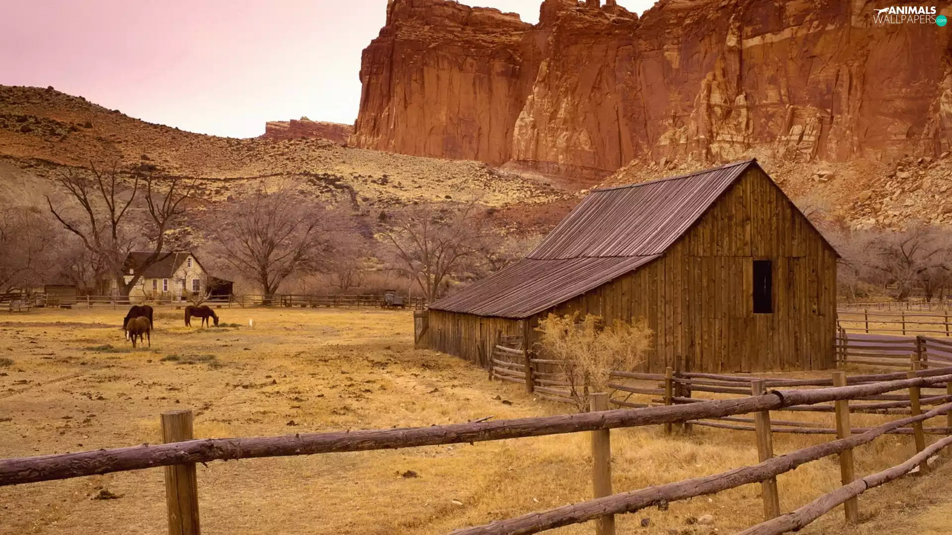 cote, fence, bloodstock, rocks
