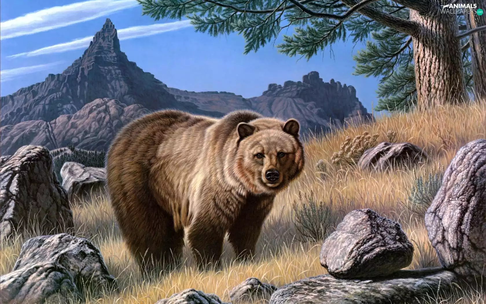 rocks, Bear, Mountains