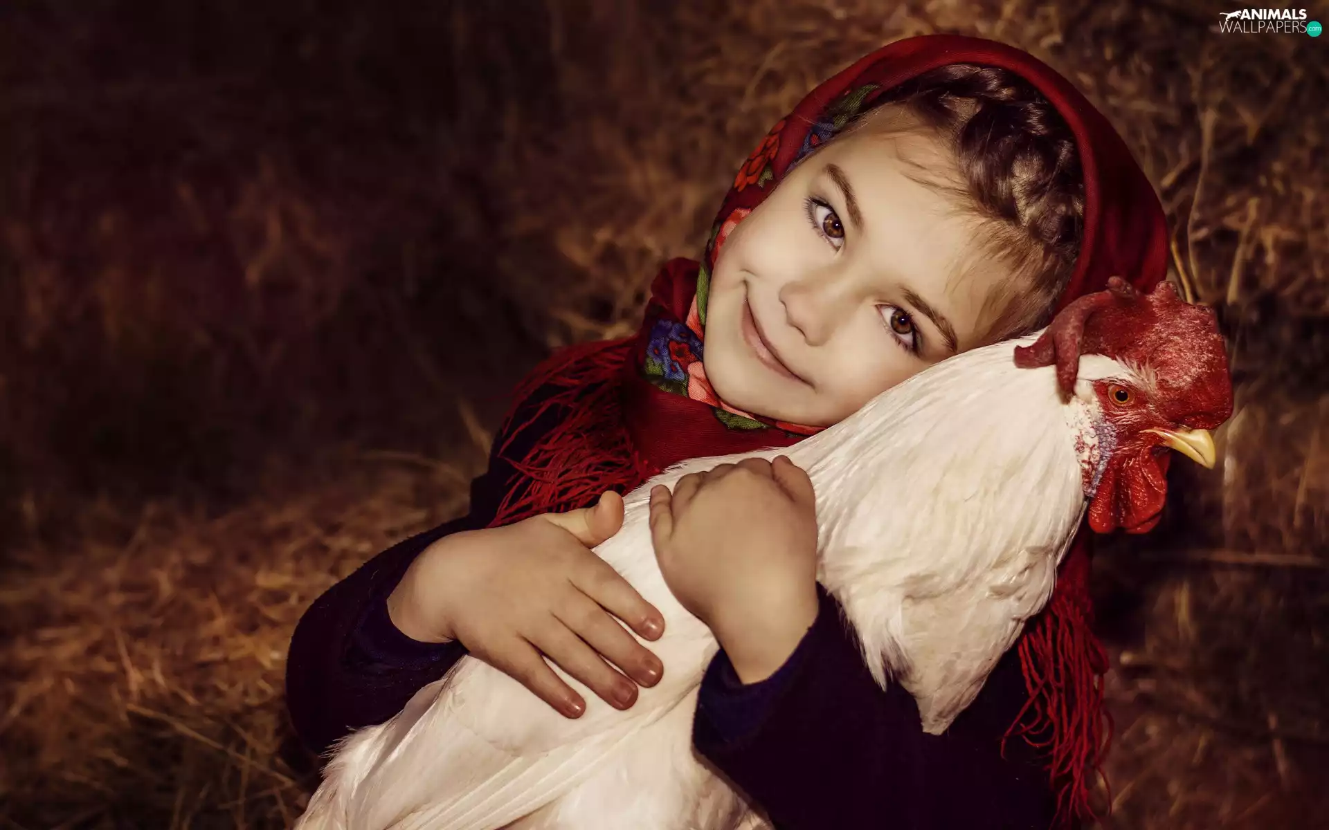 Bird, rooster, girl, Kid, Smile