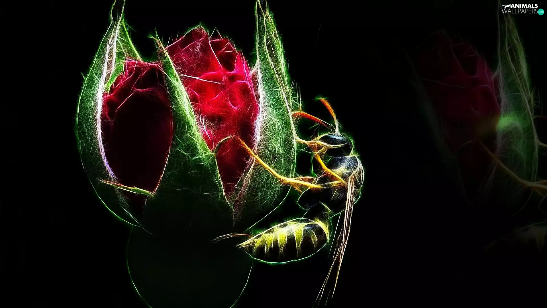 rose, bud, Fractalius, bee, background, red hot, Colourfull Flowers, Black