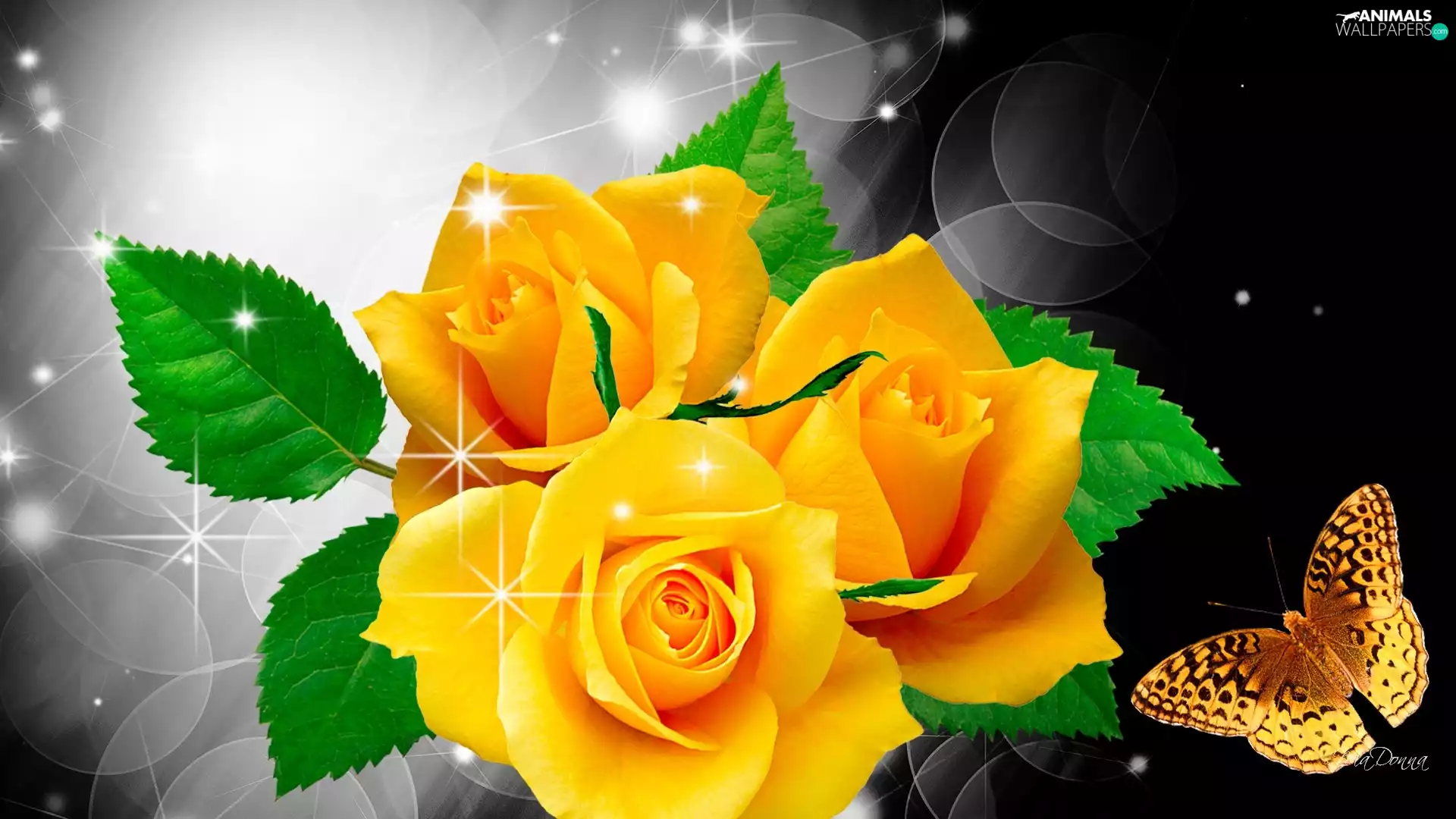 Yellow, butterfly, Art, roses