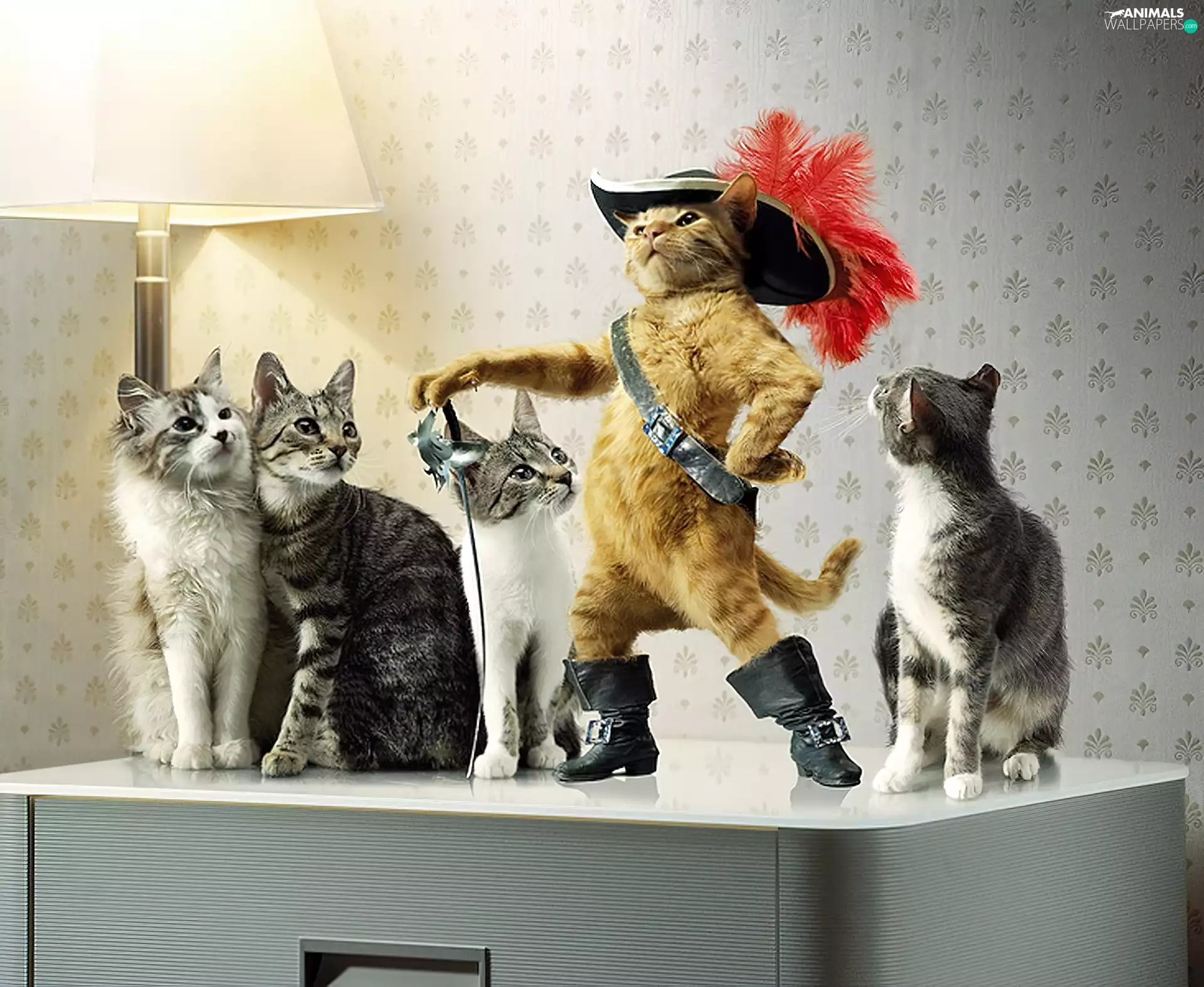 Hat, saber, ##, boots, cat