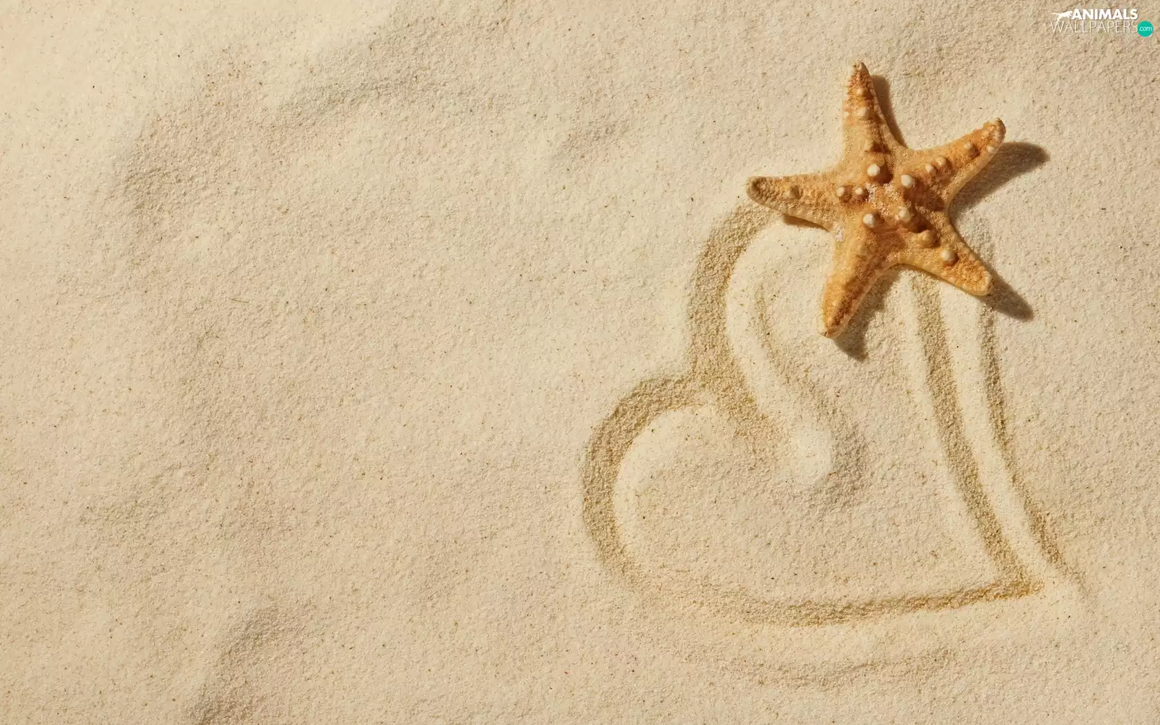 Beaches, starfish, Heart, Sand
